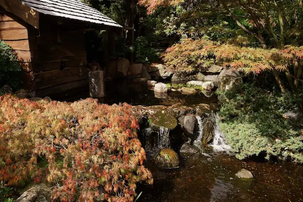 Japanese garden (20)